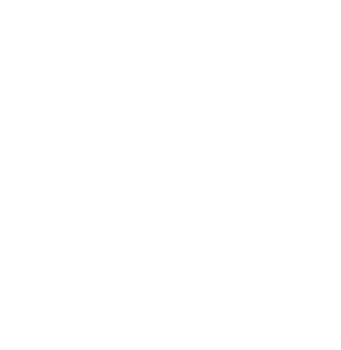 CUSTOMIZE BASKETBALL